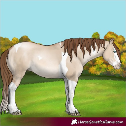 Horse Color:Liver Red Dun Pearl Splash Tobiano Rabicano