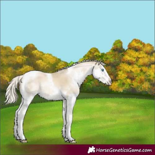 Horse Color:Silver Brown Snowdrop Pearl Dun Splash Tobiano 