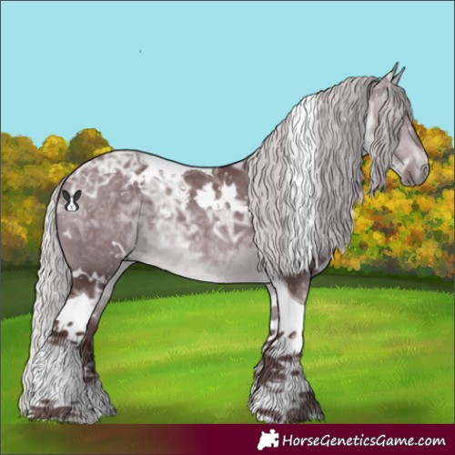 Horse Color:White Spotted Chocolate Silver Brown Chinchilla Ice Tobiano