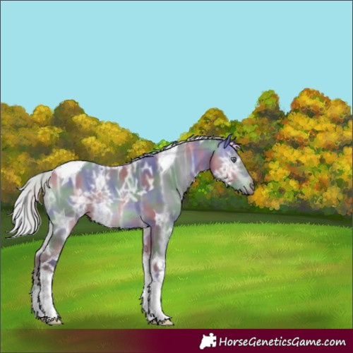 Horse Color:Nacre Silver Brown Chinchilla Ice Tobiano 