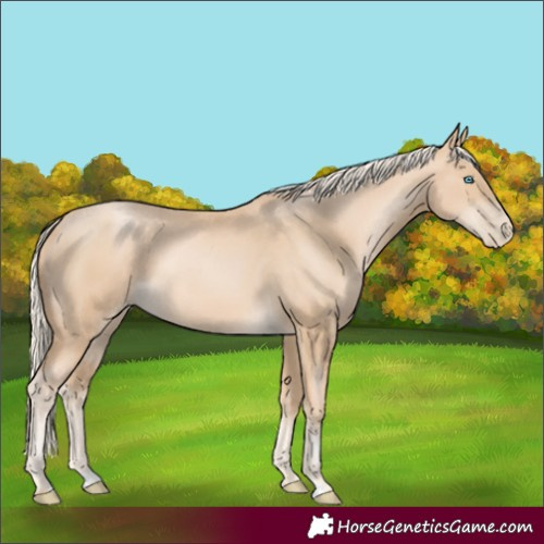 Horse Color:Palomino Pearl