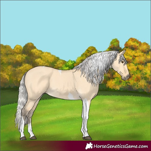 Horse Color:Silver Buckskin Dun Tobiano 