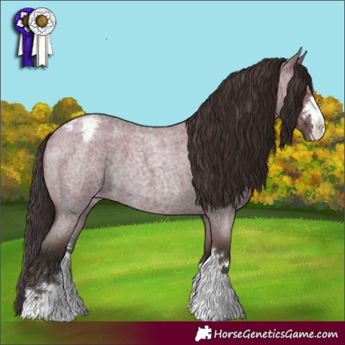 Horse Color:Liver Red Dun Roan Appaloosa 