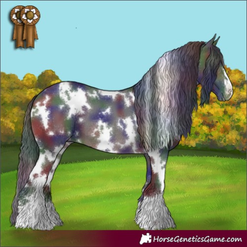 Horse Color:Nacre White Spotted Brown Appaloosa 