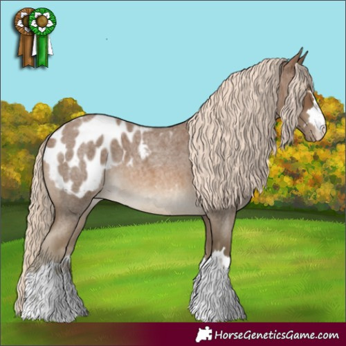 Horse Color:Chocolate Palomino Roan Appaloosa