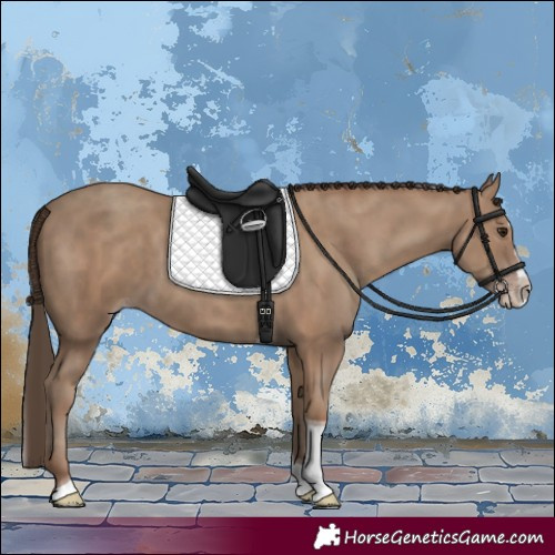 Horse Color:Classic Champagne Splash Tobiano 