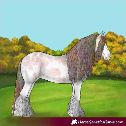 Horse Color:Nacre White Spotted Buckskin Ice Onyx Splash Appaloosa 