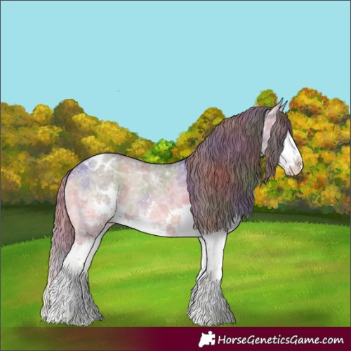 Horse Color:Nacre Smoky Grullo Ice Onyx Sabino Splash Appaloosa