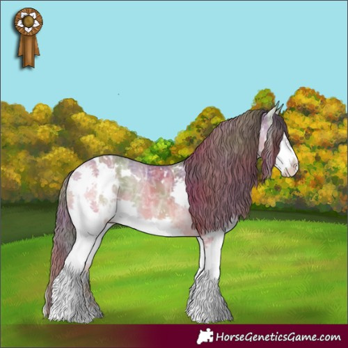 Horse Color:Nacre White Spotted Grullo Ice Onyx Splash Appaloosa