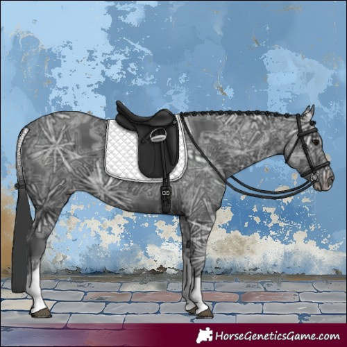 Horse Color:Black Ice Tobiano 