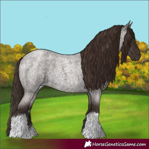 Horse Color:Liver Red Roan