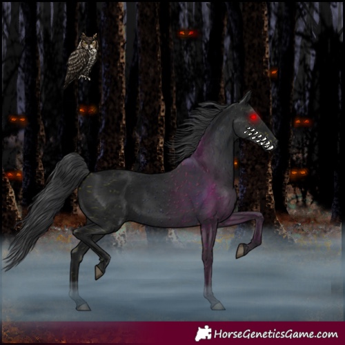 Horse Color:Black 
