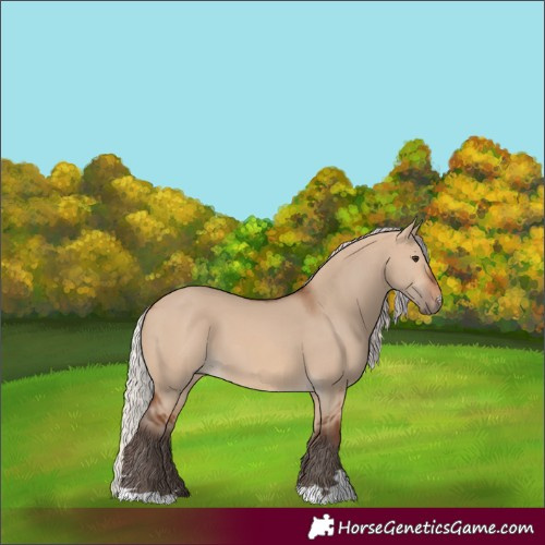 Horse Color:Silver Brown Dun 
