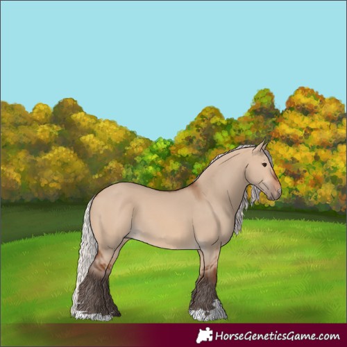 Horse Color:Silver Brown Dun 