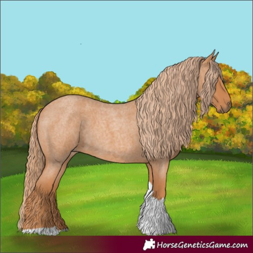 Horse Color:Red Roan Tobiano 