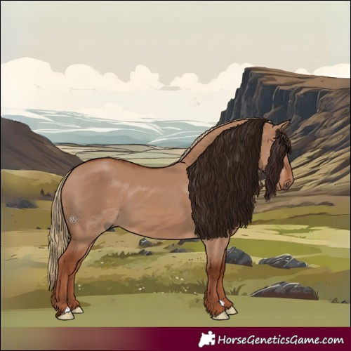 Horse Color:Red Dun 