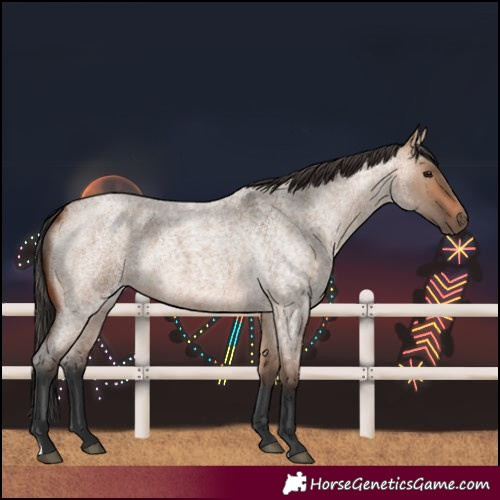 Horse Color:Bay Roan Dun
