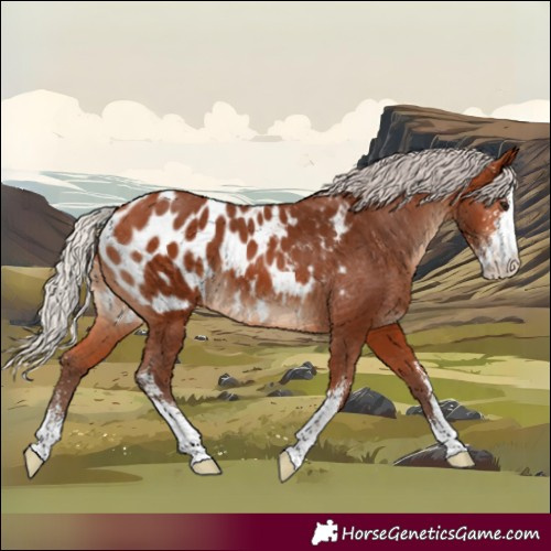 Horse Color:Silver Bay Sabino Blanket 