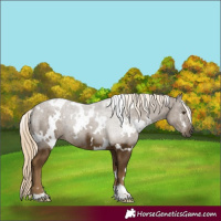 Horse Color:White Spotted Chocolate Palomino Mushroom