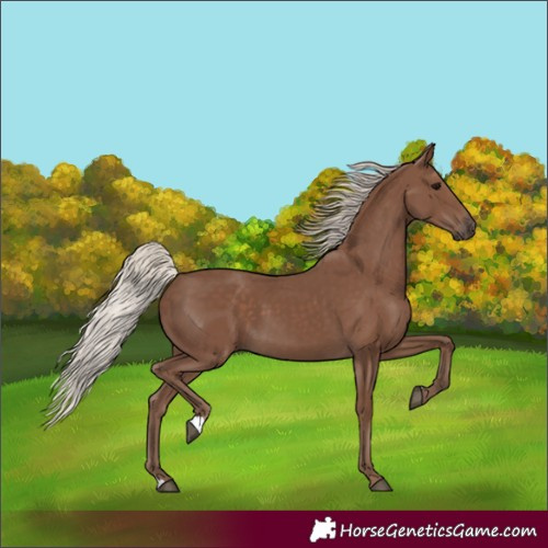 Horse Color:Silver Black