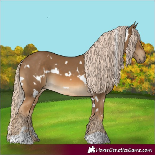 Horse Color:White Spotted Chocolate Palomino