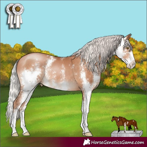 Horse Color:Silver Bay Pearl Sabino