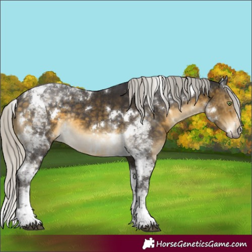Horse Color:White Spotted Silver Buckskin Tobiano Rabicano 