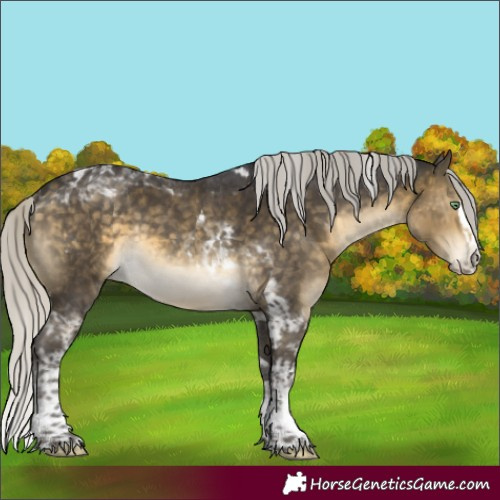 Horse Color:Silver Buckskin Mushroom Splash Tobiano Rabicano 