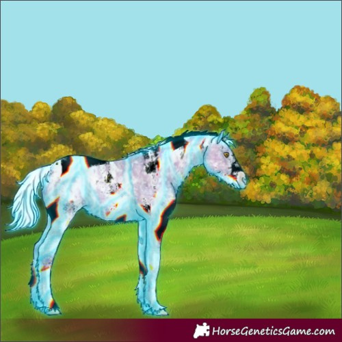 Horse Color:Thunderstruck Watercolor White Spotted Silver Bay Ice Pearl Tobiano 