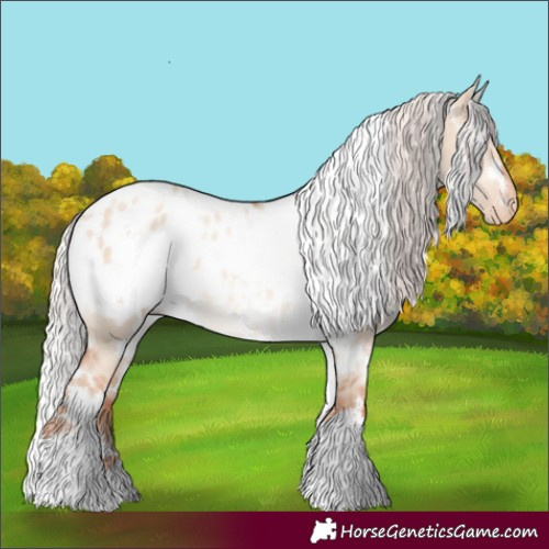 Horse Color:White Spotted Silver Classic Champagne Dun Appaloosa 