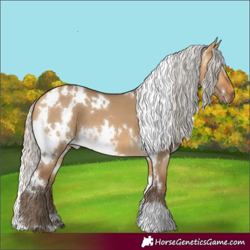 Horse Color:White Spotted Silver Buckskin Dun 