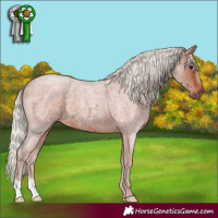 Horse Color:Silver Brown Roan Rabicano