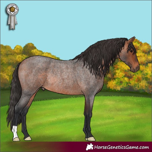 Horse Color:Bay Roan Rabicano 