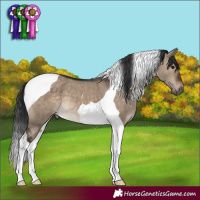 Horse Color:Brown Dun Tobiano 