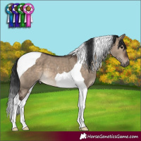 Horse Color:Brown Dun Tobiano 