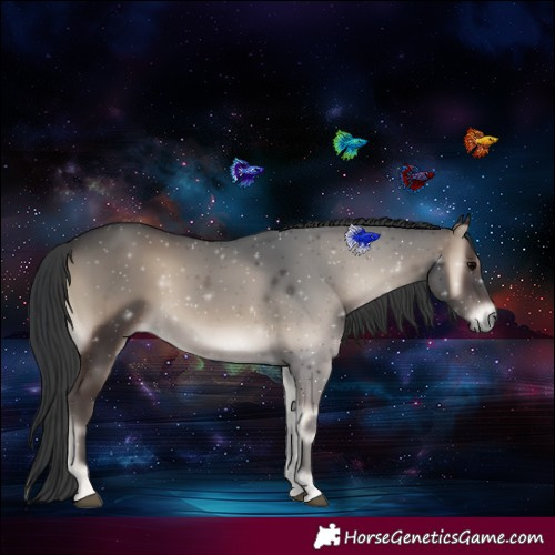 Horse Color:Blue Onyx