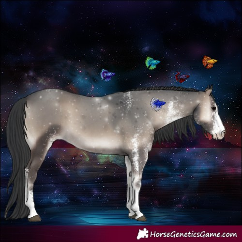 Horse Color:White Spotted Blue Onyx