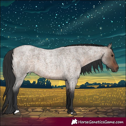 Horse Color:Brown Roan Dun 