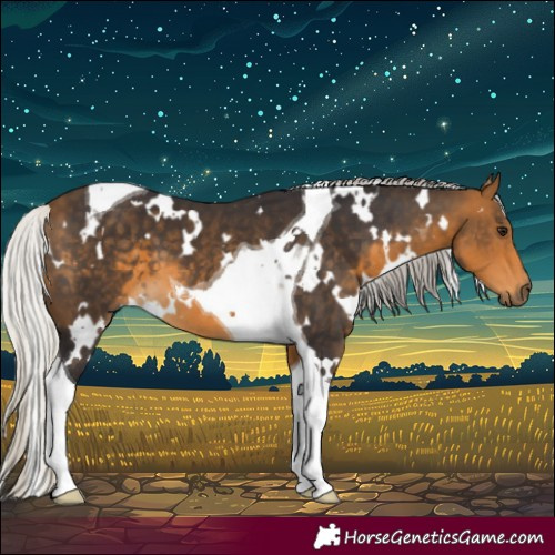 Horse Color:White Spotted Silver Buckskin Tobiano