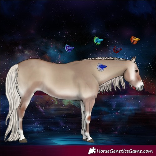 Horse Color:Silver Grullo Onyx 
