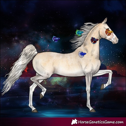 Horse Color:Silver Buckskin Roan Onyx Splash