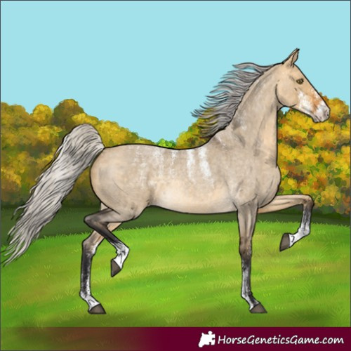 Horse Color:Powder White Silver Buckskin Roan Dun Rabicano