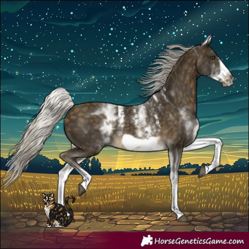 Horse Color:Powder White White Spotted Silver Buckskin Frame 