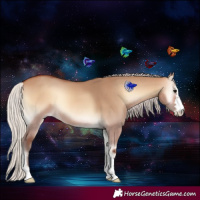 Horse Color:Silver Bay Onyx 
