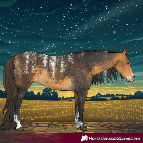 Horse Color:Powder White Buckskin