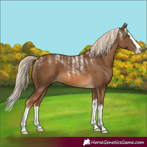 Horse Color:Powder White Chocolate Palomino Splash 