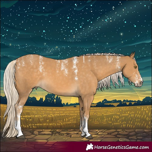 Horse Color:Powder White Palomino Sabino 