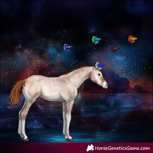 Horse Color:Red Onyx Roan 