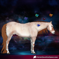 Horse Color:Red Onyx Roan