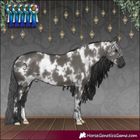 Horse Color:White Spotted Grullo